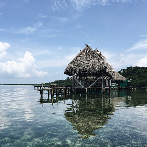 Panamá y Playa blanca