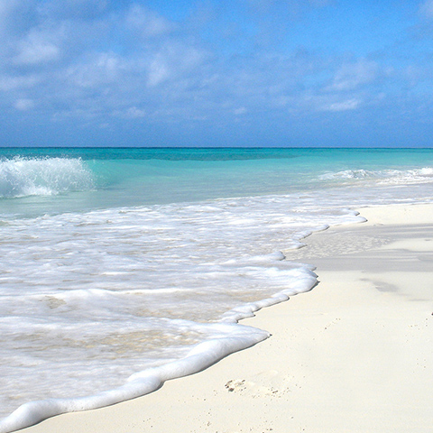 Cayo Coco ó Cayo Guillermo – Varadero – La Habana