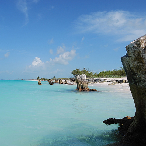 Cayo Largo – La Habana
